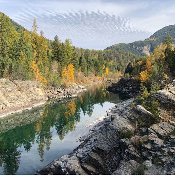 Meet your Posher, Brenda - Picture 1 of 1